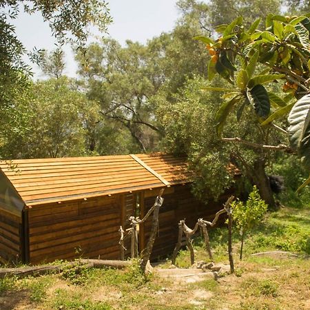 Pelekas Olive Grove Oasis Room No4 外观 照片